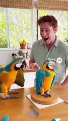 Phillies land All-Star closer Jhoan Duran ahead of MLB trade deadline 👀🔥 _JhoanDuran