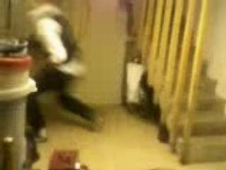 david imitateur d'animaux