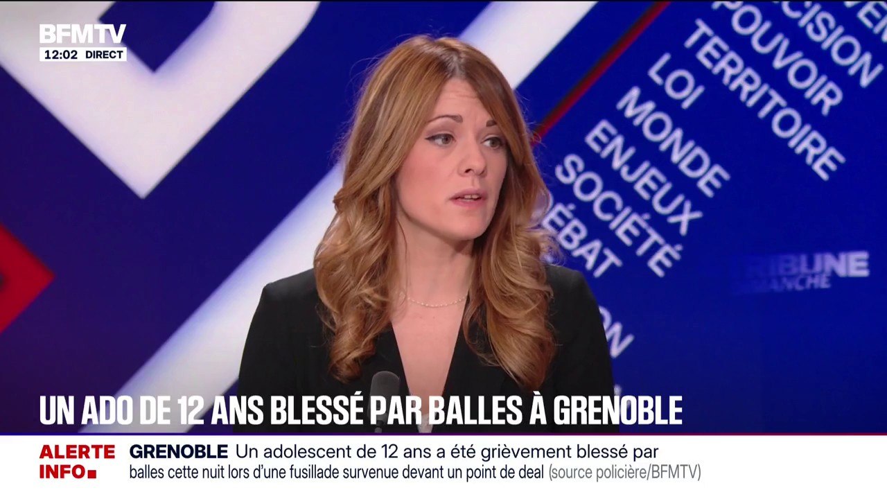 Maud Bregeon, porte-parole du gouvernement, se dit "favorable" au port d'armes pour les policiers municipaux