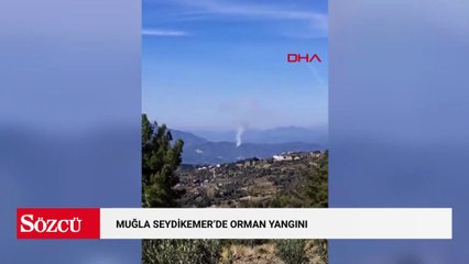 Muğla Seydikemer'de orman yangını