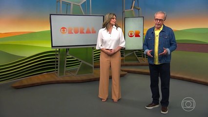 Globo Rural hoje (16/11): Confira os destaques do programa