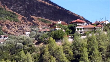 Στα καμένα του Δήμου Ζηρού