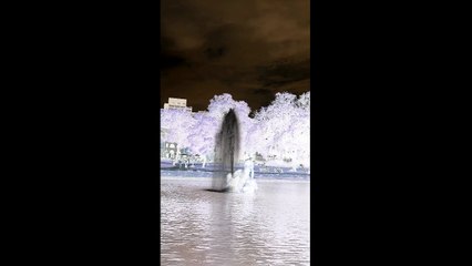 inverted fountain