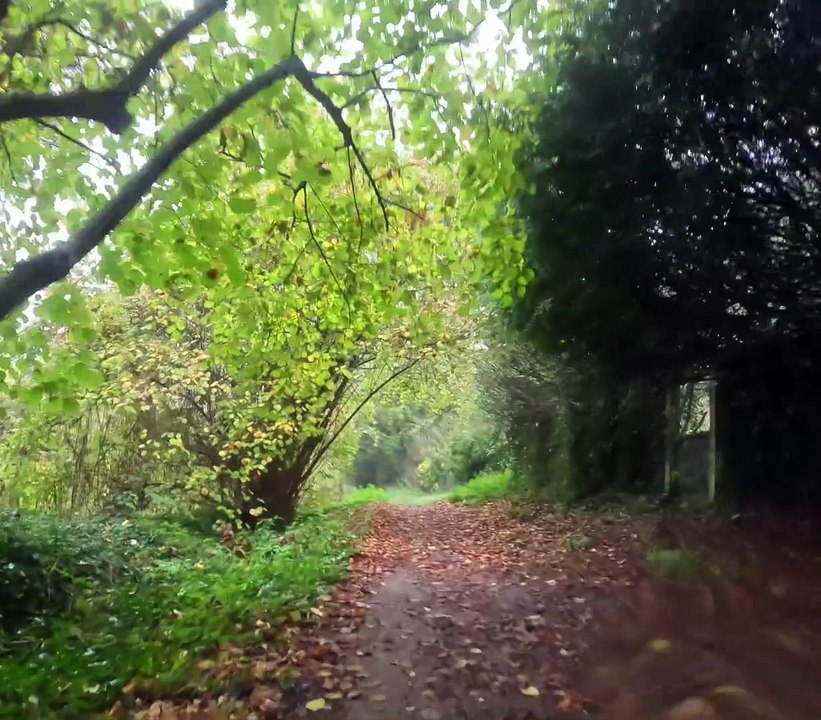 Vidéo VTT Départ compliqué avec une double crevaison 😅 Sous un beau 👍