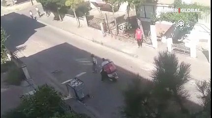 Büyükçekmece'de maymun saldırısı: 3 kişi yaralandı