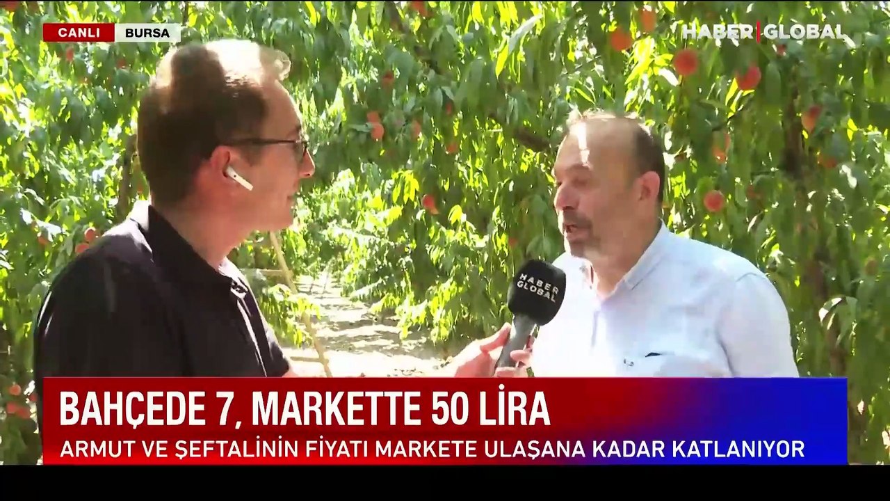 Bahçede 7 TL olan meyve markette nasıl 50 TL oluyor: Uzmanı canlı yayında kalem kalem hesapladı