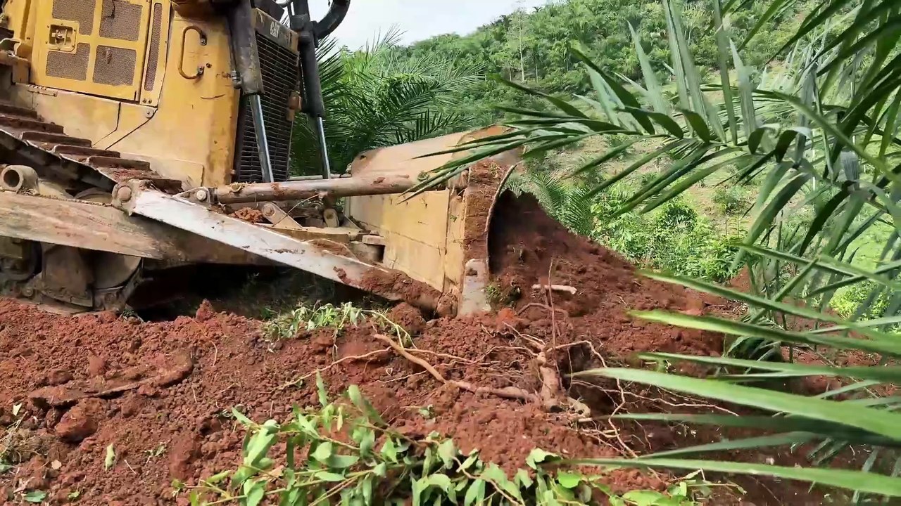 Efficiency and Precision of the D6R XL Bulldozer on Plantation Roads