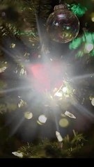 Oops! I Married My Forgetful Ex-Boyfriend Full Movie