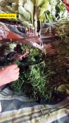 Sarson ka saag palak recipe village style sarson ka saag palak