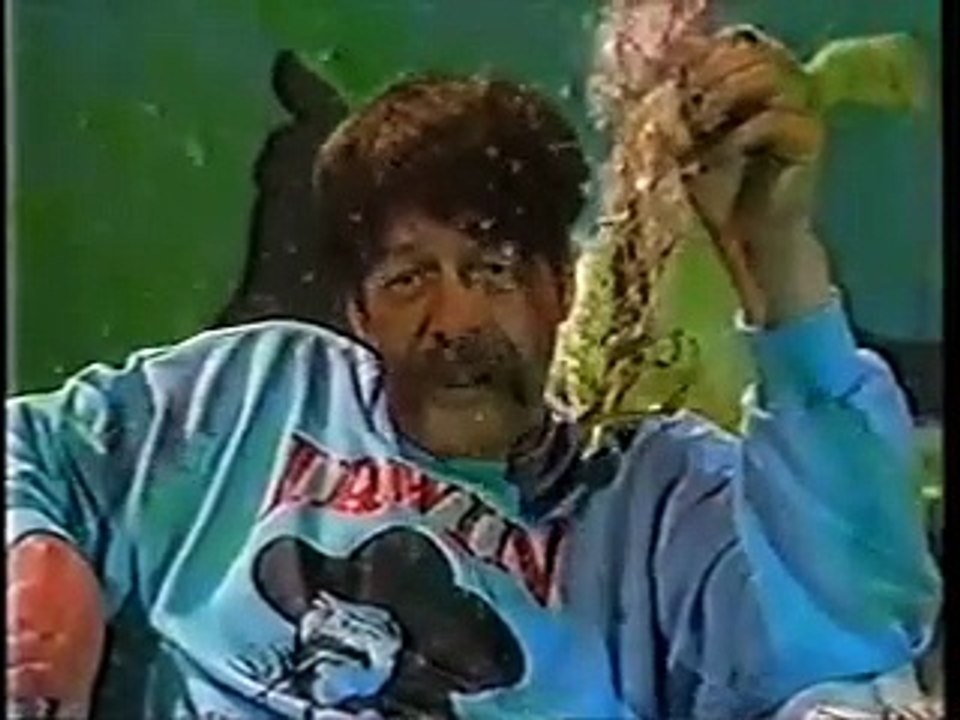 Irwin Goodman - Rentun ruusu ( Musiikkivideo )