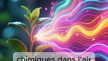 Les plantes qui se défendent – Secrets du monde végétal 🌿