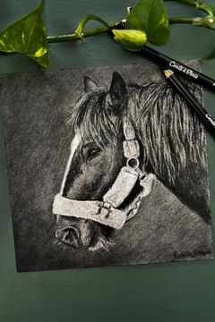Dessin réaliste d’un cheval réalisé à la pierre noire #dessin #art #cheval