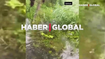 Samsun, Terme'de yağış sonrası sokakları balıklar bastı