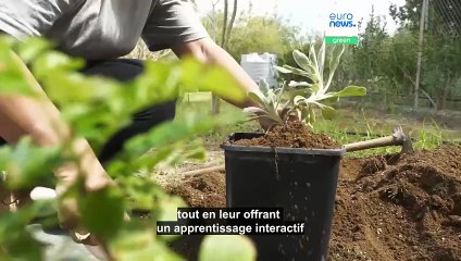 Chypre : enseigner aux enfants comment composer des oasis de verdure dans leurs quartiers