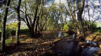 Guadiana internacional. Badajoz, el camino del agua