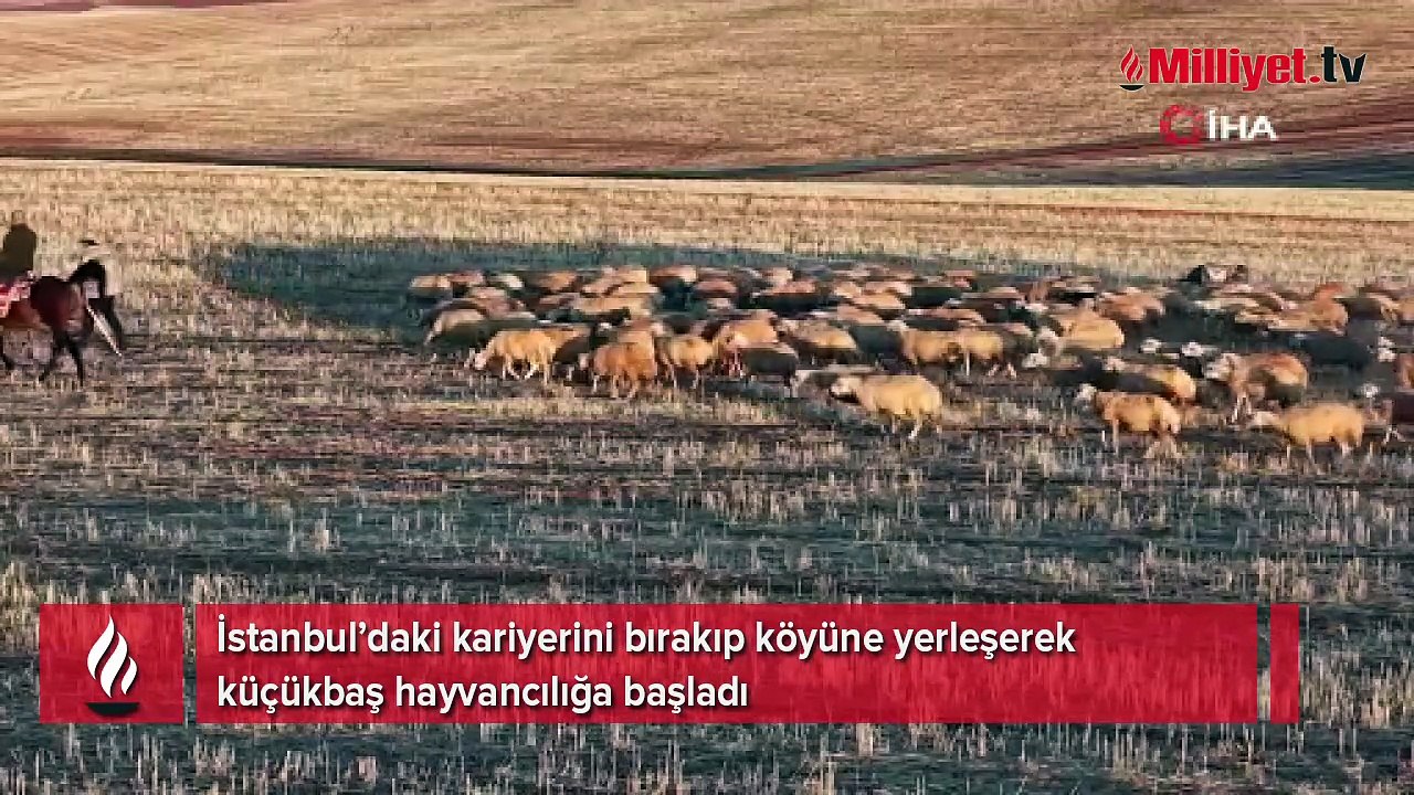 İstanbul’daki kariyerini bırakıp köye yerleşti! ‘Buradaki mutluluğu hiçbir şeye değişmem’