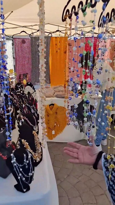 Monte di Procida (NA) - Le interviste.  Mercatini a Acquamorta e la raccolta per i gatti randagi. (16.11.25)