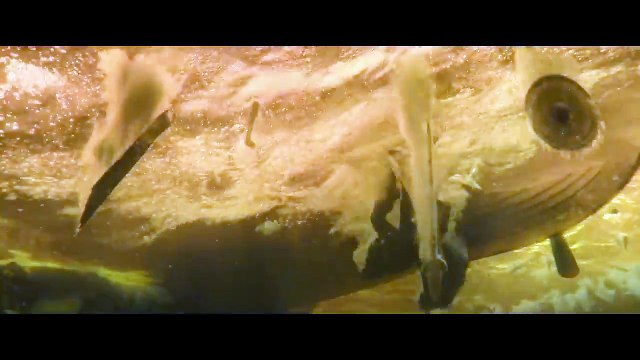 How to Train Your Dragon (2025) 4K - The Red Death Dragon Attacks | Movieclips