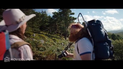 Cocaine Bear (2023) 4K - Death to Hikers! | Movieclips