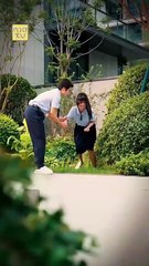 Si pudiera volver en el tiempo En Espanol