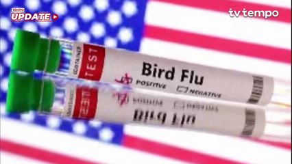 Pria Kamboja Tewas akibat Flu Burung H5N1