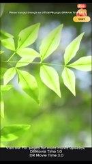 Son-In-Law No Heir To Billions (2025) - FULL [Eng Sub]