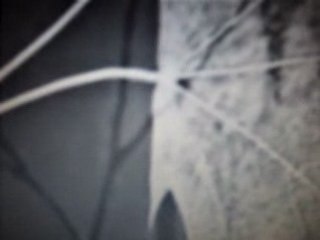 SHEILA---"ENFIN REUNIS --- (63)