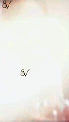 transmigrated we write the plot