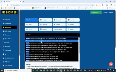 Best & Cheap SMM Panel USA | Buy Instagram Followers USA: NSBOOSTBD