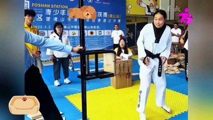 Funniest Fails, Try Not to Laugh Challenge - Best Fails .1.1 #fun #laugh #joy #challenge #fail