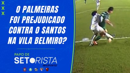 Palmeiras foi PREJUDICADO em derrota para o Santos? Flamengo é o NOVO LÍDER! | PAPO DE SETORISTA