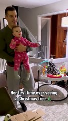 She LOVES that Christmas tree christmas