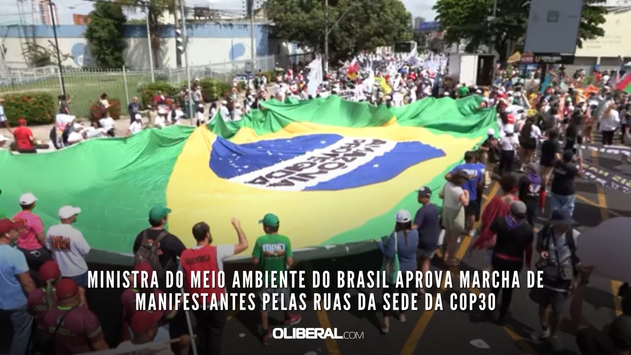 Ministra do Meio Ambiente do Brasil aprova marc...
