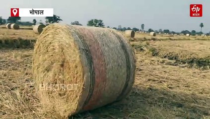 मध्य प्रदेश के एक गांव ने उठाई कसम, नुकसान उठाएंगे पराली नहीं जलाएंगे