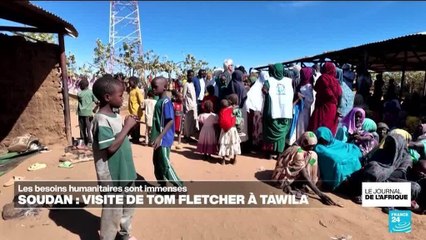 Soudan : l'ONU demande aux FSR de garantir la protection des civils à Tawila