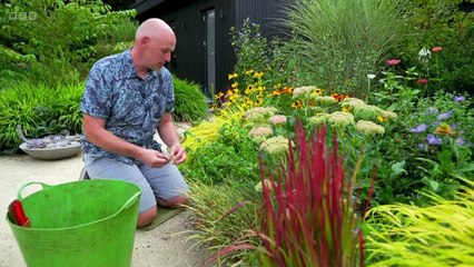 Gardeners' World (1968) Season 58 Episode 31