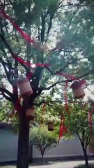 The Hidden Edge of Grace [Full]