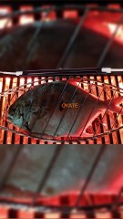 850winfrared heat lamp ir lamp quartz glass tube