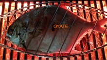 850winfrared heat lamp ir lamp quartz glass tube