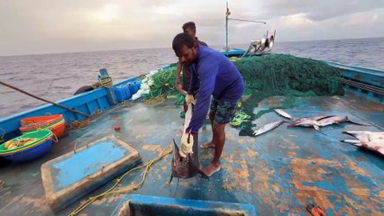 Gulf Waters Big Catch Adventure — Unseen Moments on the Line