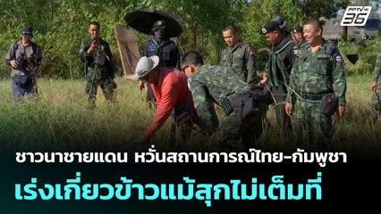 ชาวนาชายแดน หวั่นสถานการณ์ไทย-กัมพูชา เร่งเกี่ยวข้าวแม้สุกไม่เต็มที่ | โชว์ข่าวเช้านี้  |17 พ.ย. 68