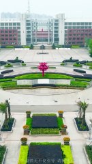 CEO Is Allergic To All Women Except Poor Girl. He Made Her Pregnant Quadruplets _ Can’t Let Her Go