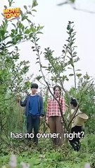 Seeds Of Hope: The Girl of Wonder