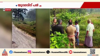 ബാവലിയിൽ കാട്ടാനയുടെ ആക്രമണത്തിൽ യുവാവിന് പരിക്ക്