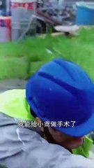 betrayed by blood forgotten by love chinese drama