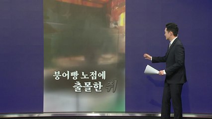 "붕어는 없고 쥐가 있네"...붕어빵 판매대 영상 충격 [앵커리포트] / YTN