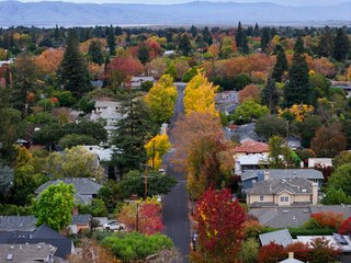 Stanford'da sonbahar senfonisi
