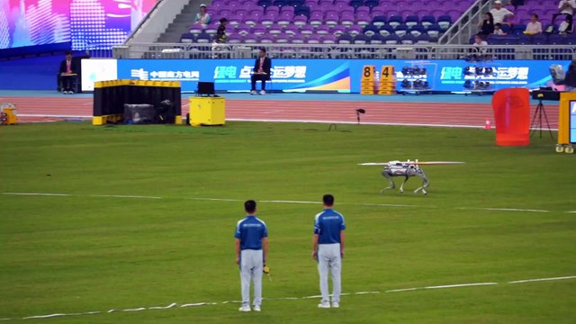 Perros robots asisten en el transporte de jabalinas en los XV Juegos Nacionales de China