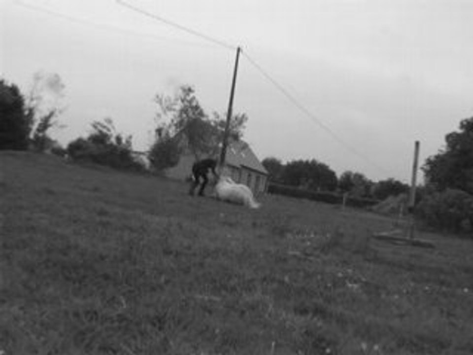 indiana et ses tours de cirque =D