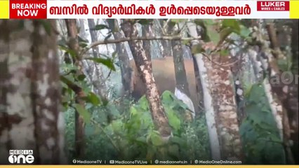 അതിരപ്പിള്ളിയിൽ കാട്ടാന കൂട്ടത്തിനു സമീപം KSRTC ബസ് ബ്രേക്ക് ഡൗൺ ആയി